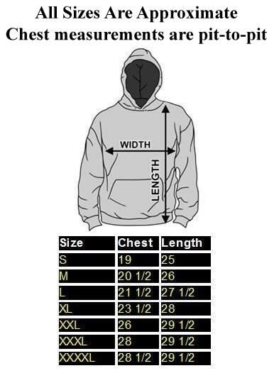 AEROSMITH - Boston / Hooded Sweatshirt